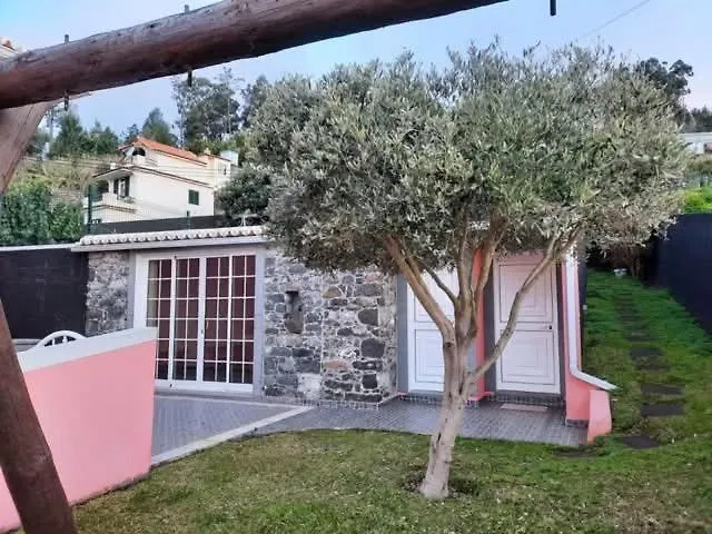Casa Rosa ゲストハウス 3*